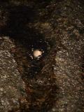 Moon Reflection *
