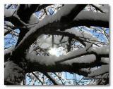 <B>Lit Snow</B><BR><FONT size=2>Dmitry Barsky</FONT>