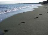 Beach Foot Steps