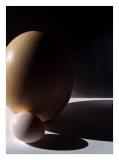 Big Egg, Little Egg *