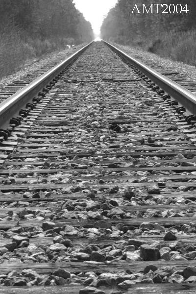 <b>the Ties that bind*<b><br>camptown