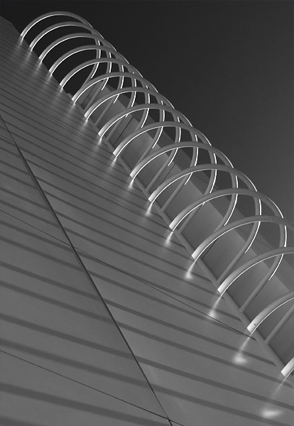 Spiral Binding by Paul Sumi