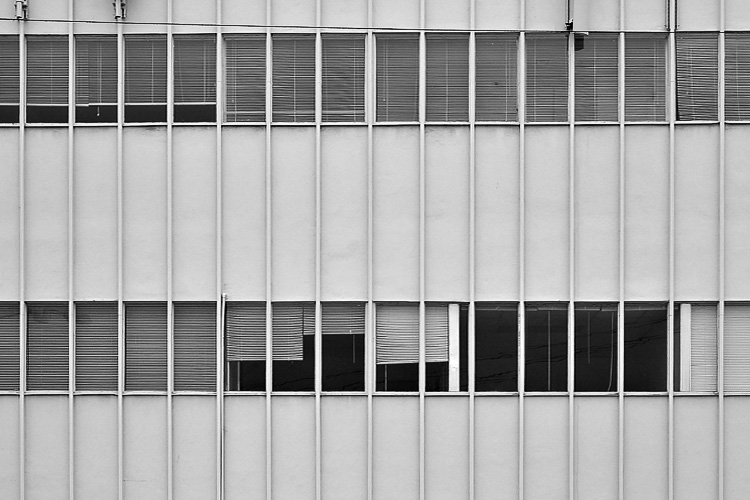 blinds by bee1000