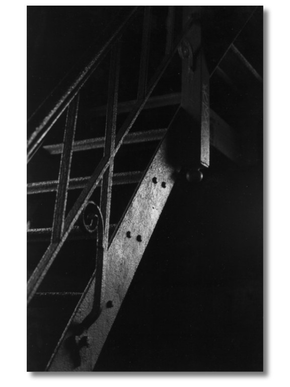 <B>Hard Steel *</B> <BR><BR> <i>by Dick Tsang</i>