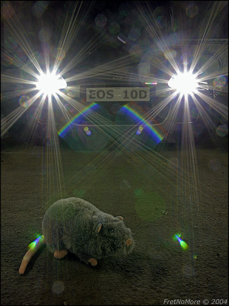 <b>Roadkill</b></br><b>*</b> <i>by FretNoMore</i>