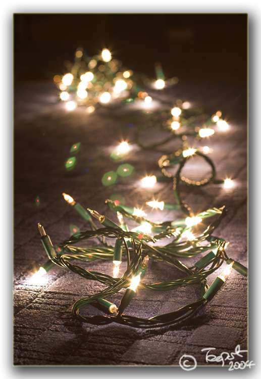 <b>Lights</b><br>* by Teapot