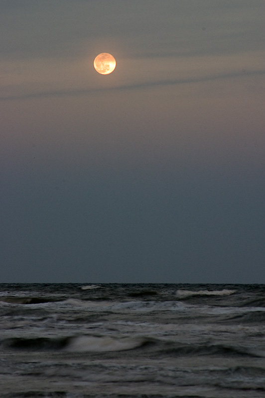 <b>* Moon Rising</b><br><i>by Tabs</i>