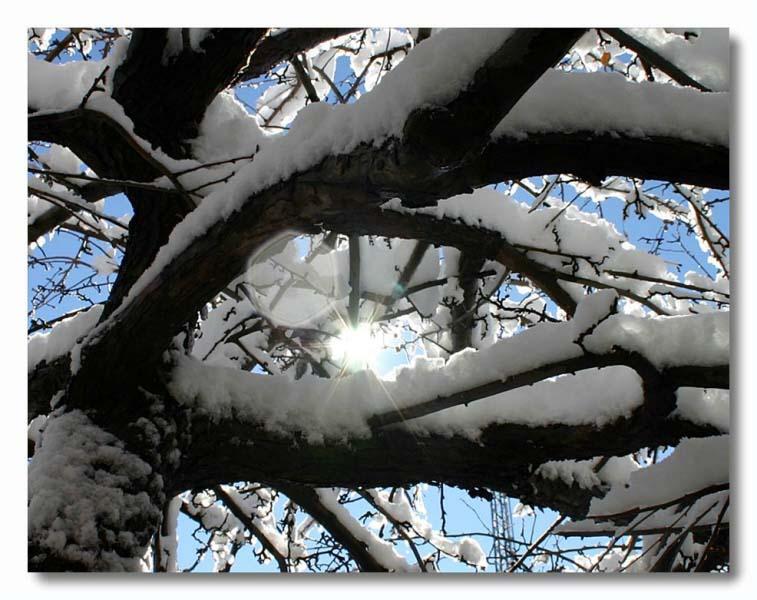 <B>Lit Snow</B><BR><FONT size=2>Dmitry Barsky</FONT>