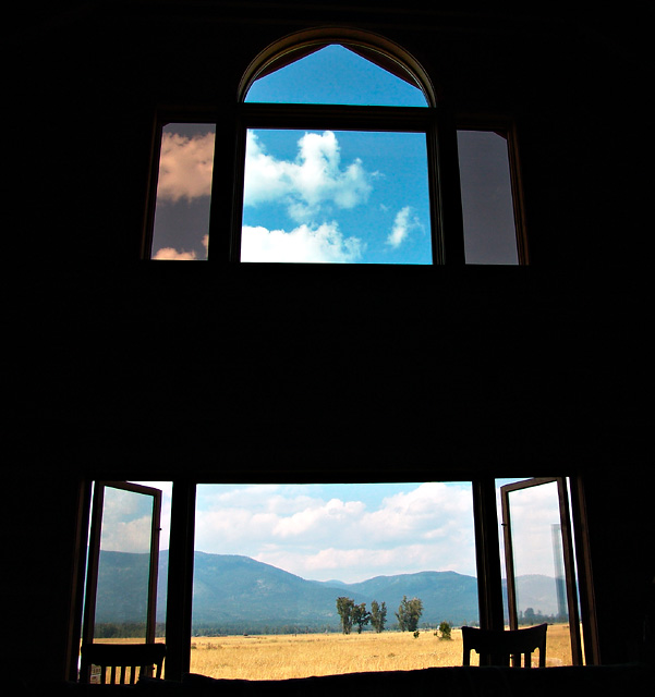 The View *