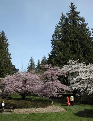 UW Arboretum