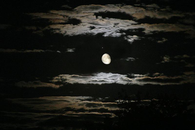 Moonlit Night (*)