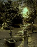 white morning