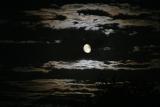 Moonlit Night (*)