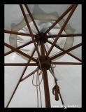 Under my umbrella <br>(*)