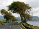 Surviving<br>Stormy Weather*