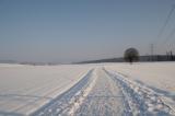 Walking around *
