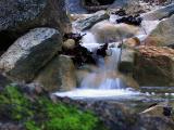 Spring Rains*