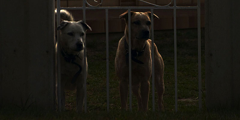 Lights out, guards on duty *