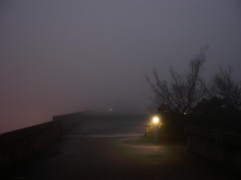 15% visibility