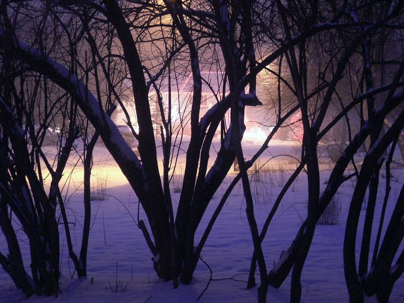 Night snow storm