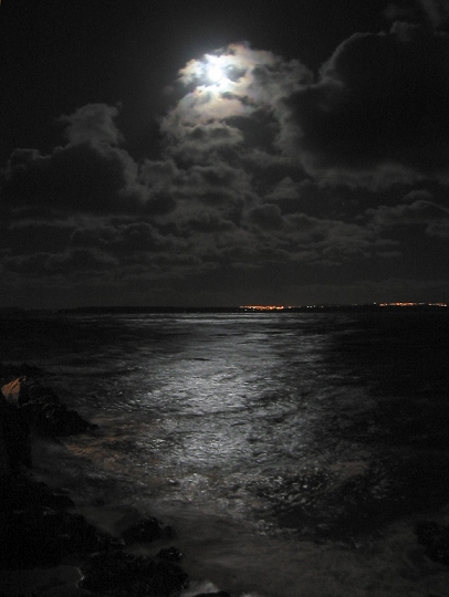 Moonlight