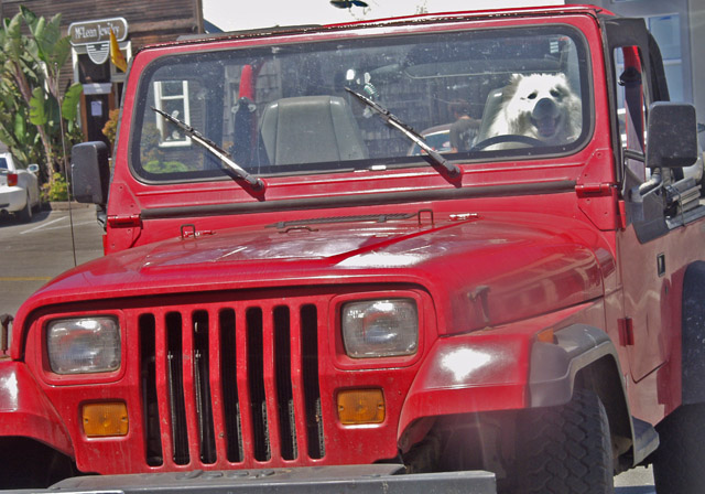 (Baby You Can) Drive My Car