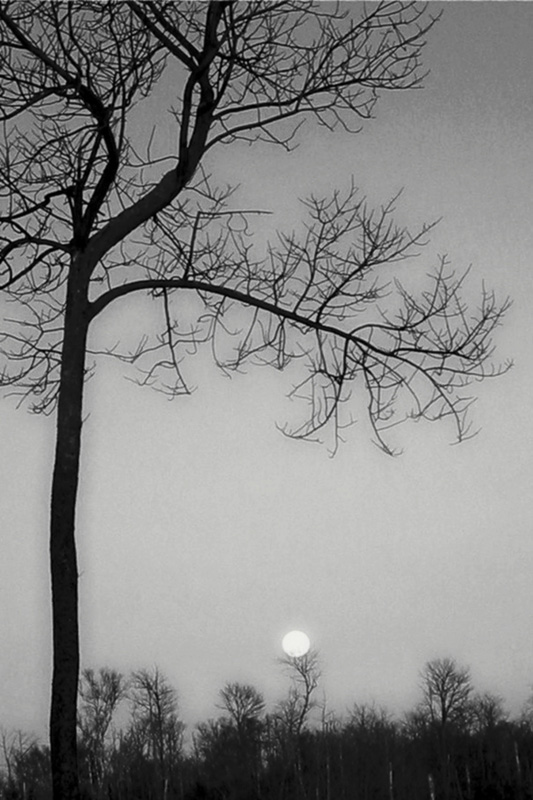 Full Moon Fever