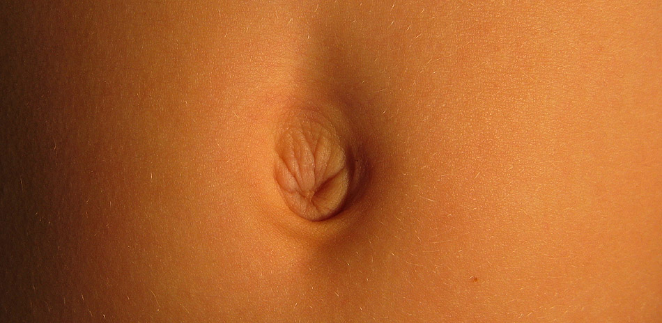 Belly Button *