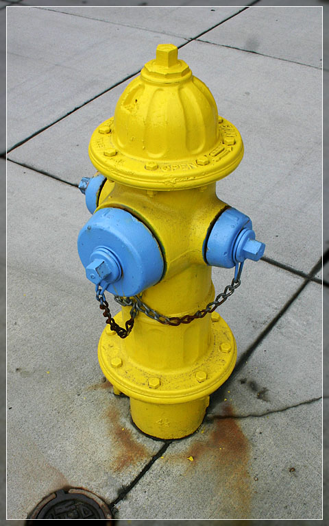 <b>Snow Plug</b> *