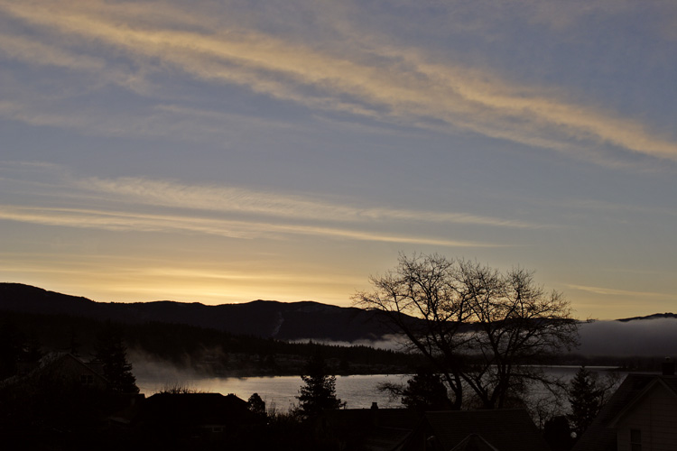 Morning Light