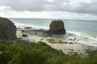0507 scene along great ocean road.jpg