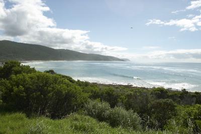 0512 scene along great ocean road.jpg