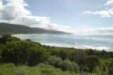 0512 scene along great ocean road.jpg
