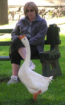 September 2004, Amesbury