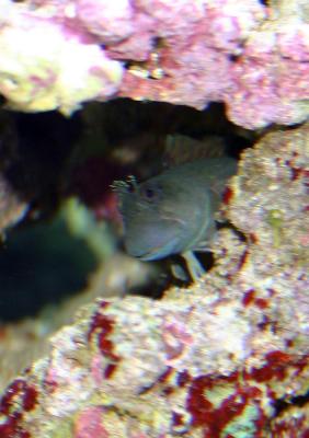 IMG_6964.JPG