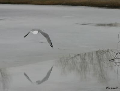 volreflet_2680int.jpg
