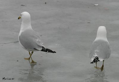 onsenva_2473bint.jpg