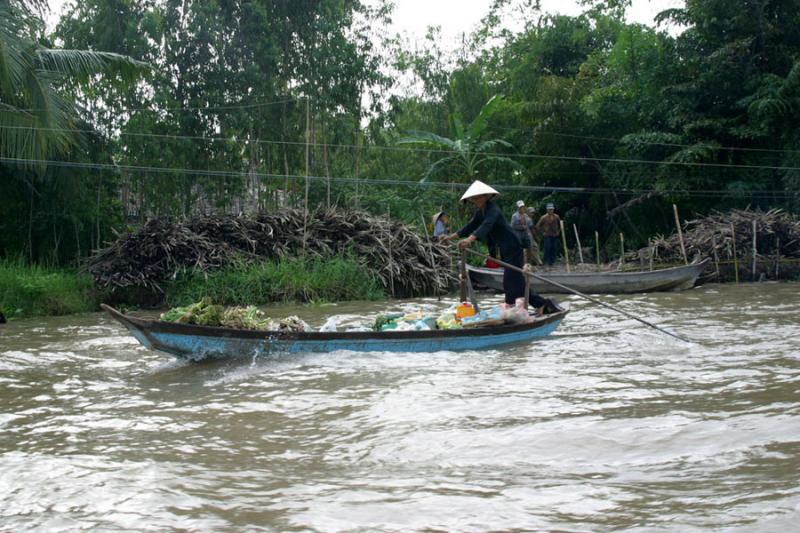 local transport