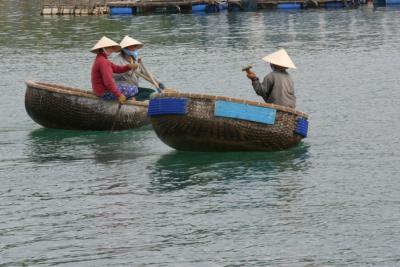local transport