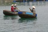 local transport