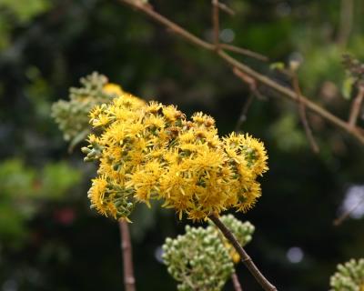 IMG_6644.jpg