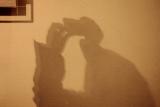 TAKING A PHOTO.........SCRATCHING THE DOG