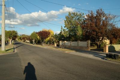 DSC_1728-20mm.jpg
