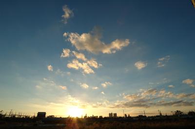 DSC_1806.jpg
