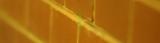 backfocus0007.jpg