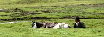 Tibet 2004
