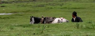 Tibet 2004