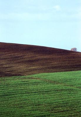 toscana