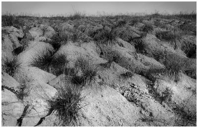 Gullies