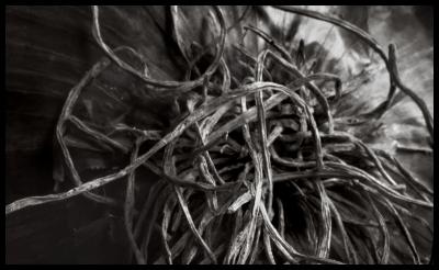 Abstract